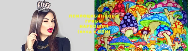скорость Арсеньев