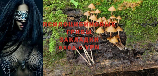 скорость Арсеньев