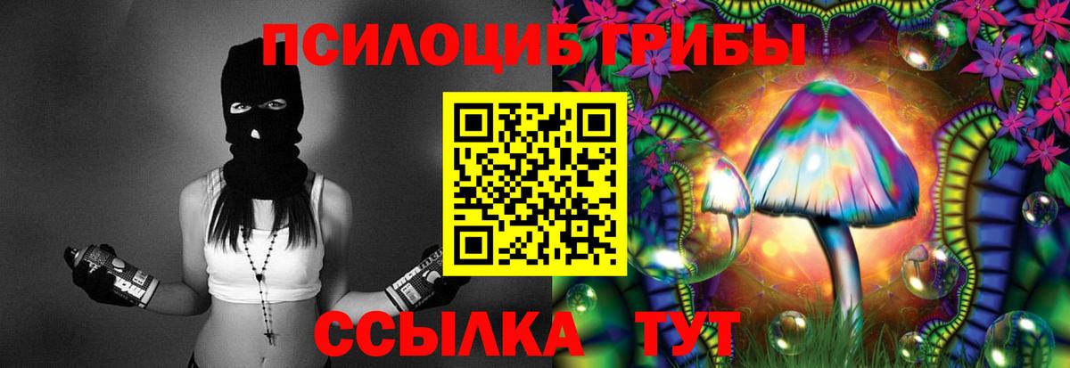 как найти наркотики  Псилоцибиновые грибы Magic Shrooms  Вход с VPN  Рубцовск 