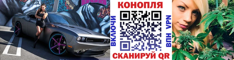 Бошки Шишки план  Рубцовск 